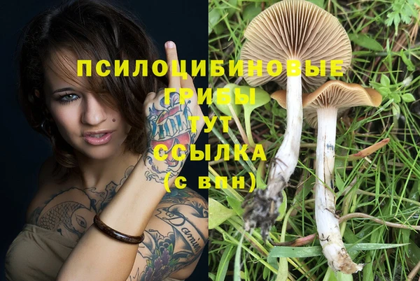 Альфа ПВП Покровск