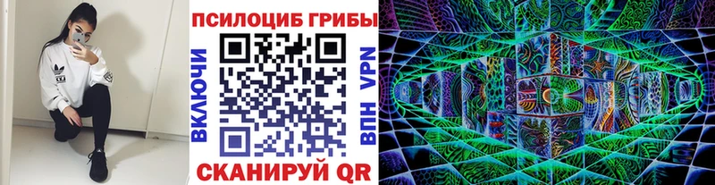 закладка Тавда Галлюциногенные грибы мицелий