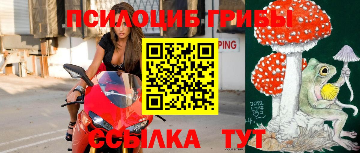 Тавда  Псилоцибиновые грибы Cubensis  Вход с VPN 