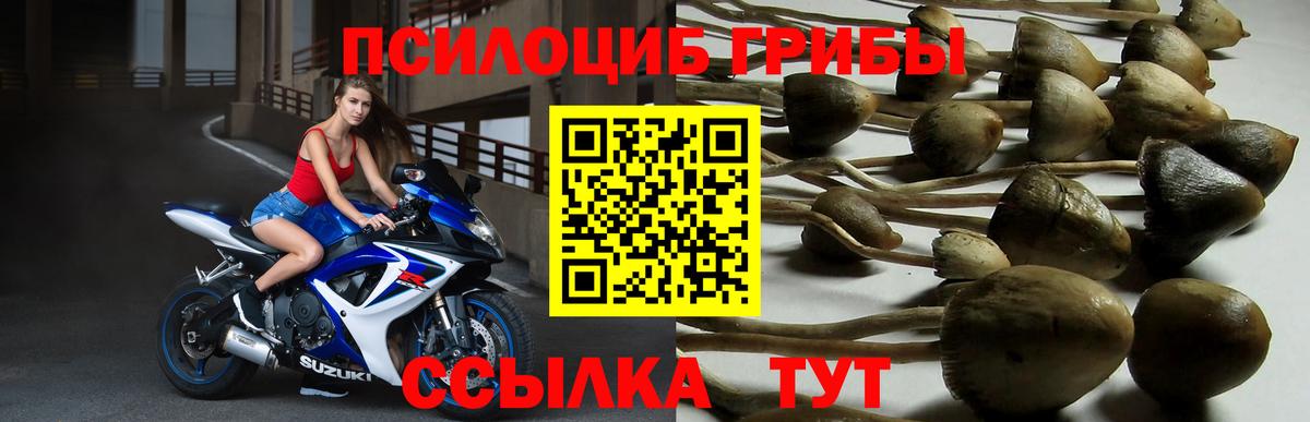 Галлюциногенные грибы мухоморы Тавда